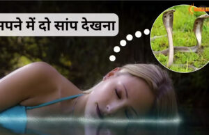 सपने में दो सांप देखना: शुभ-अशुभ अर्थ, ज्योतिषीय व्याख्या और उपाय sapane mein do saap dekhana