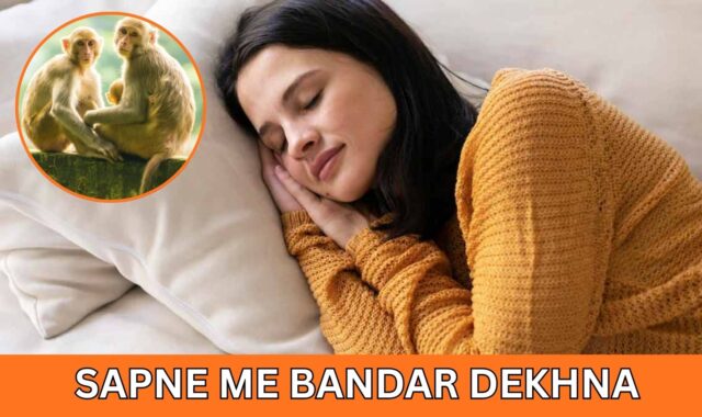 sapne me bandar dekhna sapne me bandar dekhna