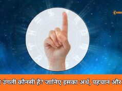 तर्जनी उंगली कौनसी है? जानिए इसका अर्थ, पहचान और महत्व which finger is the index finger