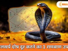 कालसर्प दोष दूर करने का 1 रामबाण उपाय: रुद्राभिषेक से पाएं तुरंत राहत! कालसर्प दोष दूर करने का 1 रामबाण उपाय