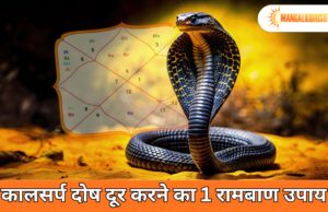 कालसर्प दोष दूर करने का 1 रामबाण उपाय: रुद्राभिषेक से पाएं तुरंत राहत! कालसर्प दोष दूर करने का 1 रामबाण उपाय