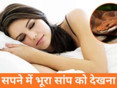 सपने में भूरा सांप को देखना: अर्थ, व्याख्या और उपाय | स्वप्न शास्त्र सपने में भूरा सांप को देखना