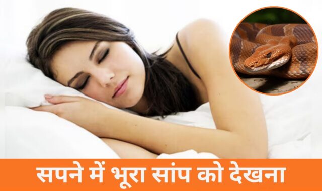 सपने में भूरा सांप को देखना सपने में भूरा सांप को देखना