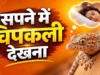 सपने में छिपकली देखना (Sapne Me Chipkali Dekhna): जानिए क्या है इसका असली मतलब Sapne Me Chipkali Dekhna