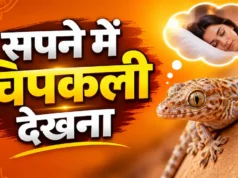 सपने में छिपकली देखना (Sapne Me Chipkali Dekhna): जानिए क्या है इसका असली मतलब Sapne Me Chipkali Dekhna