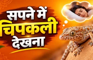 सपने में छिपकली देखना (Sapne Me Chipkali Dekhna): जानिए क्या है इसका असली मतलब Sapne Me Chipkali Dekhna