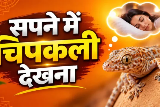 सपने में छिपकली देखना (Sapne Me Chipkali Dekhna): जानिए क्या है इसका असली मतलब Sapne Me Chipkali Dekhna